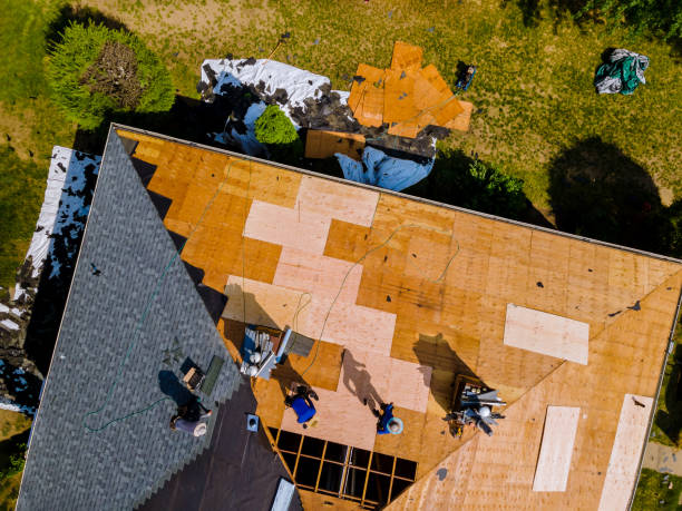 Best Roof Gutter Cleaning  in Lake City, IA