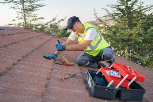 Best Roof Maintenance Services  in Lake City, IA