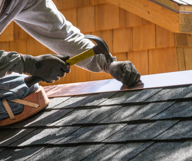 Best Metal Roofing Contractor  in Lake City, IA
